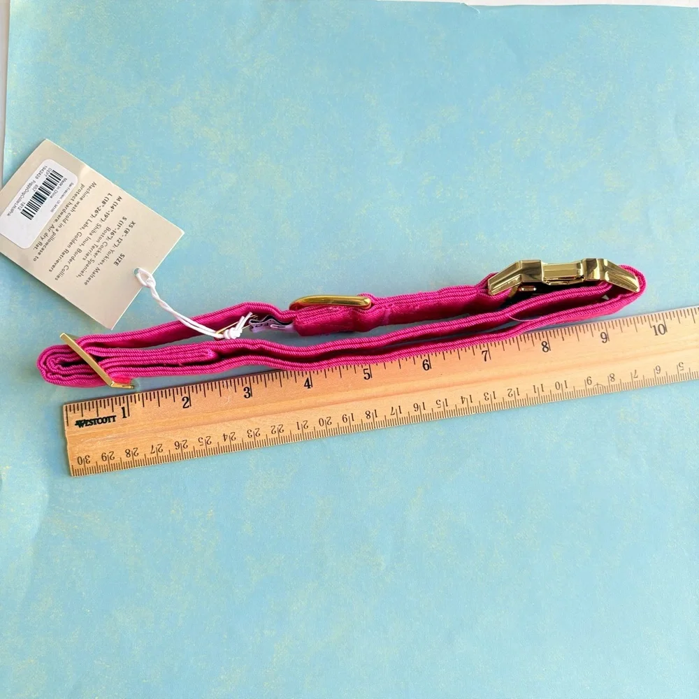 NEW The Foggy Dog Hot Pink Dog Collar Large Gold Hardware Spring Pet Gift NWT - Picture 11 of 12